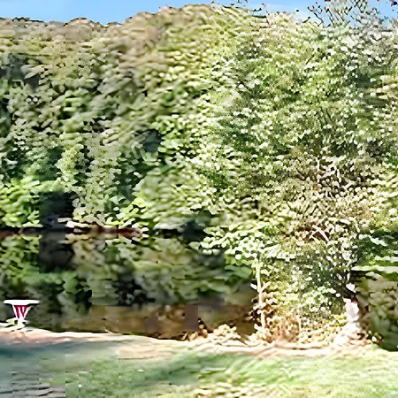 Confort A - 18 M² Avec Jardin *