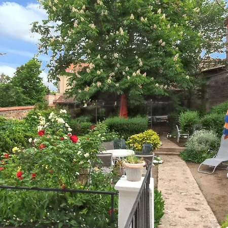 Confort A - 18 M² Avec Jardin *