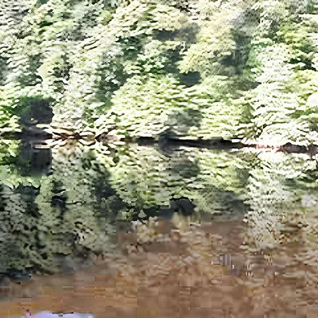 Confort A - 18 M² Avec Jardin