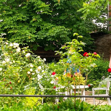 Confort A - 18 M² Avec Jardin Néris-les-Bains